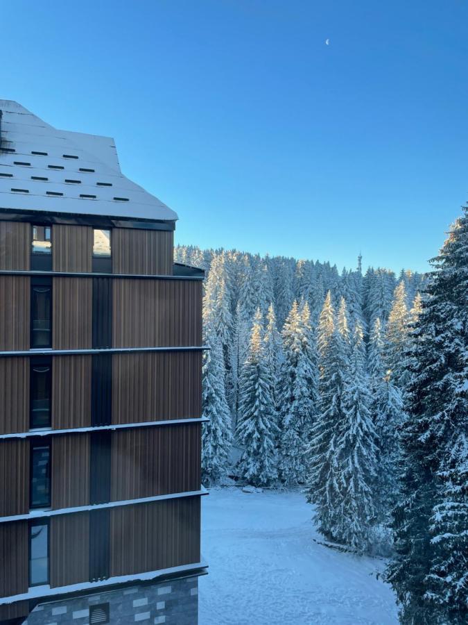 Woodside Apartment 431, Kopaonik - One Separate Bedroom 35M2- Free Parking & Spa Extérieur photo
