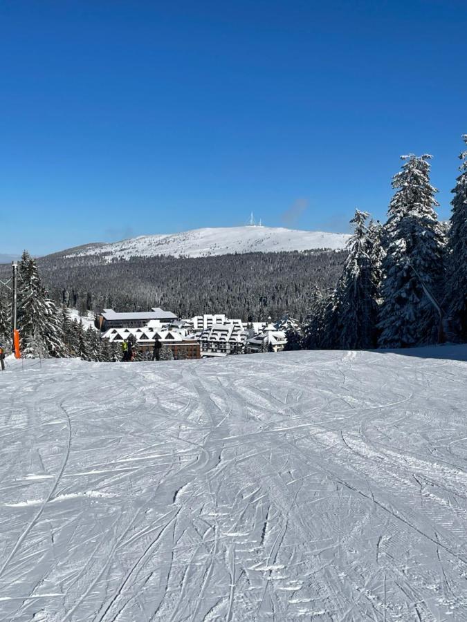 Woodside Apartment 431, Kopaonik - One Separate Bedroom 35M2- Free Parking & Spa Extérieur photo